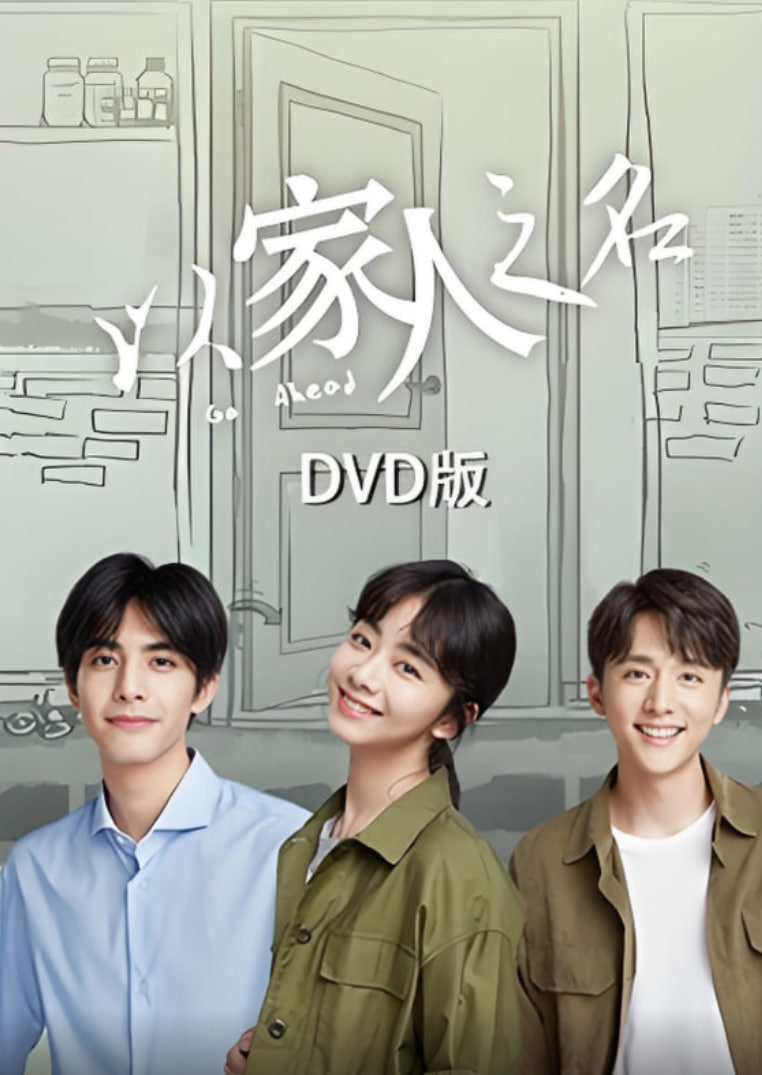 以家人之名 DVD版(全集)