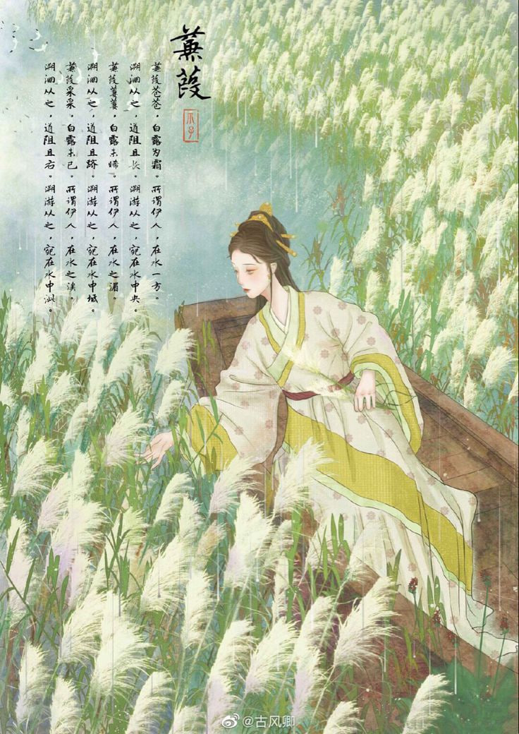 蒹葭(全集)