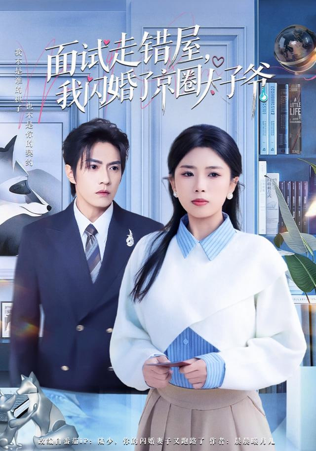 面试走错屋，我闪婚了京圈太子爷(全集)