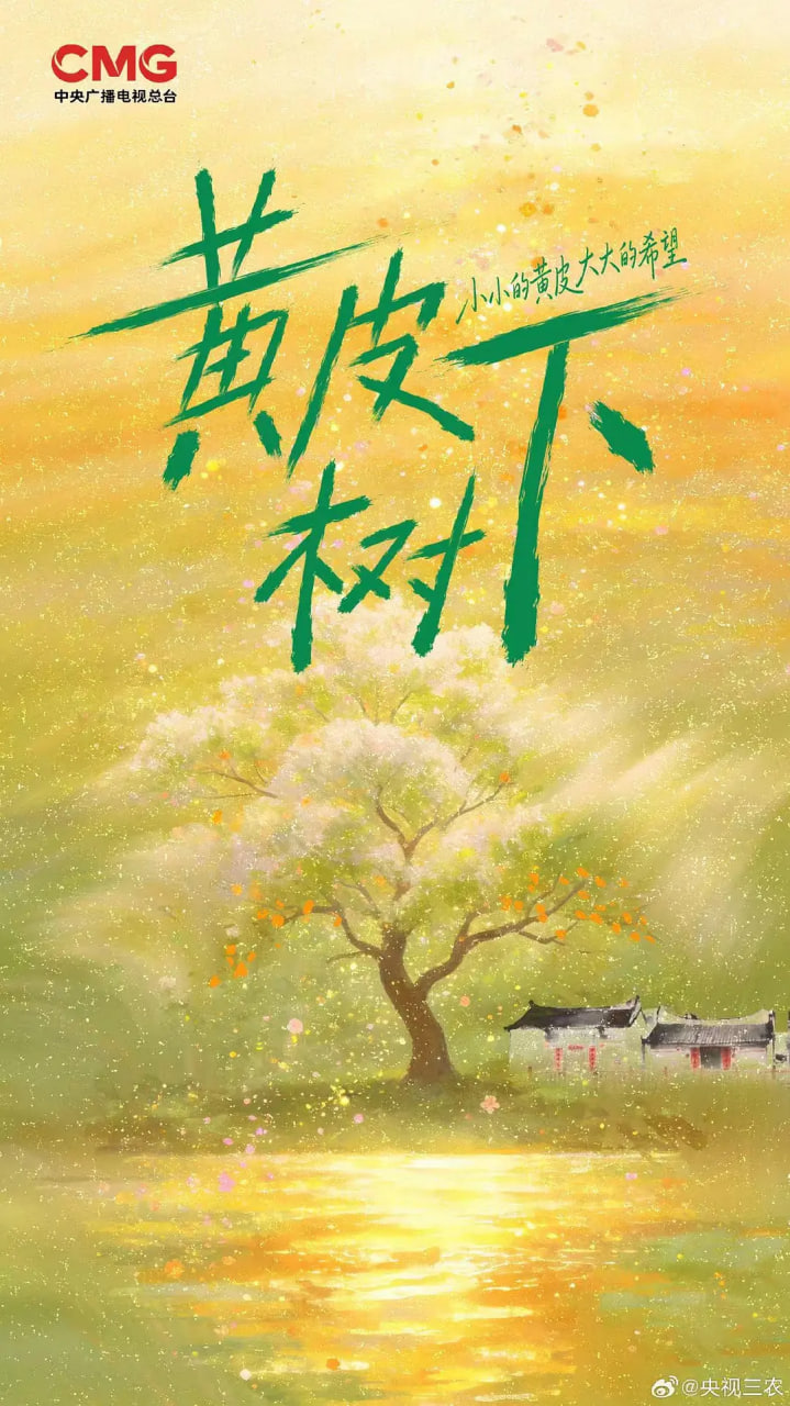 黄皮树下(全集)