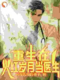 重生在火红岁月当医生(全集)