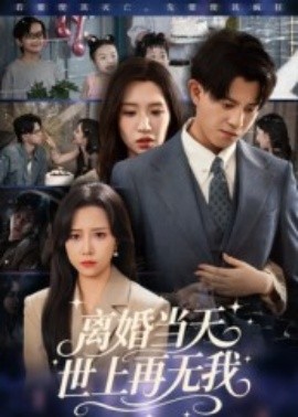 离婚当天世上再无我(全集)