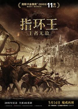 指环王3：王者无敌HD中字