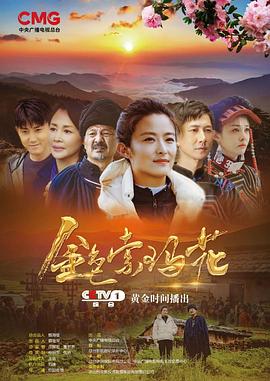 金色索玛花(2020)第19集