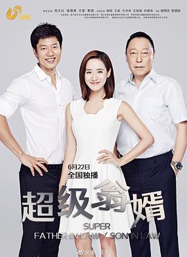 超级翁婿第14集