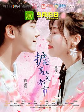 护花高手在都市第13集