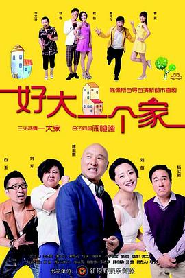 好大一个家第11集