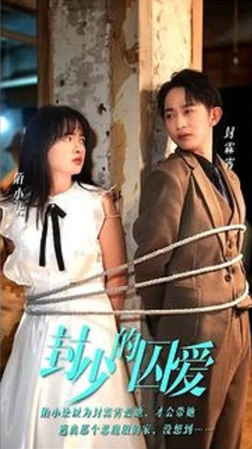 封少的囚爱第92集