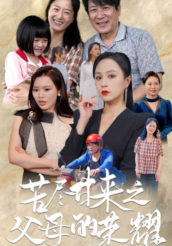 苦尽甘来之父母的荣耀第04集