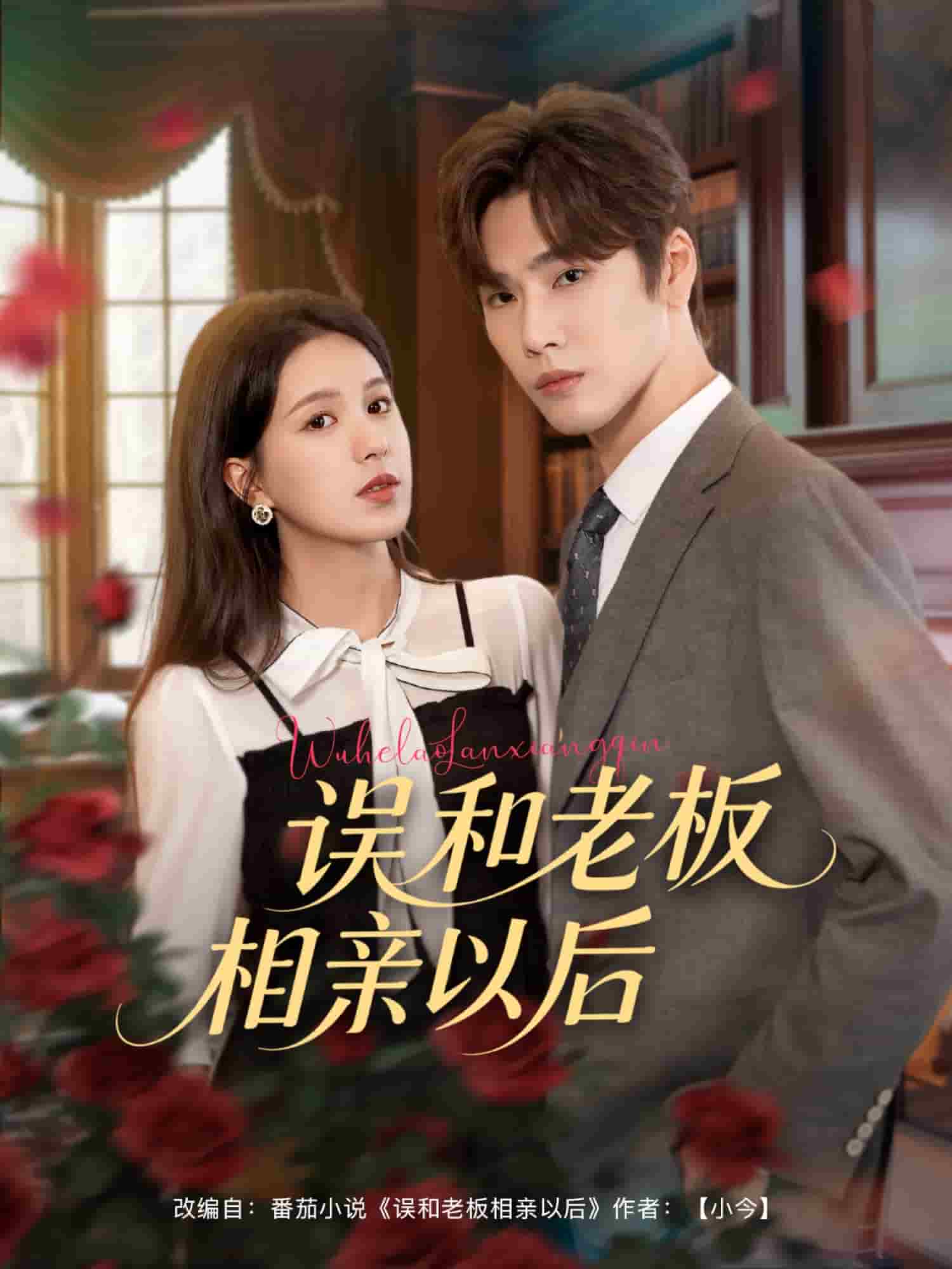 误和老板相亲以后(全集)