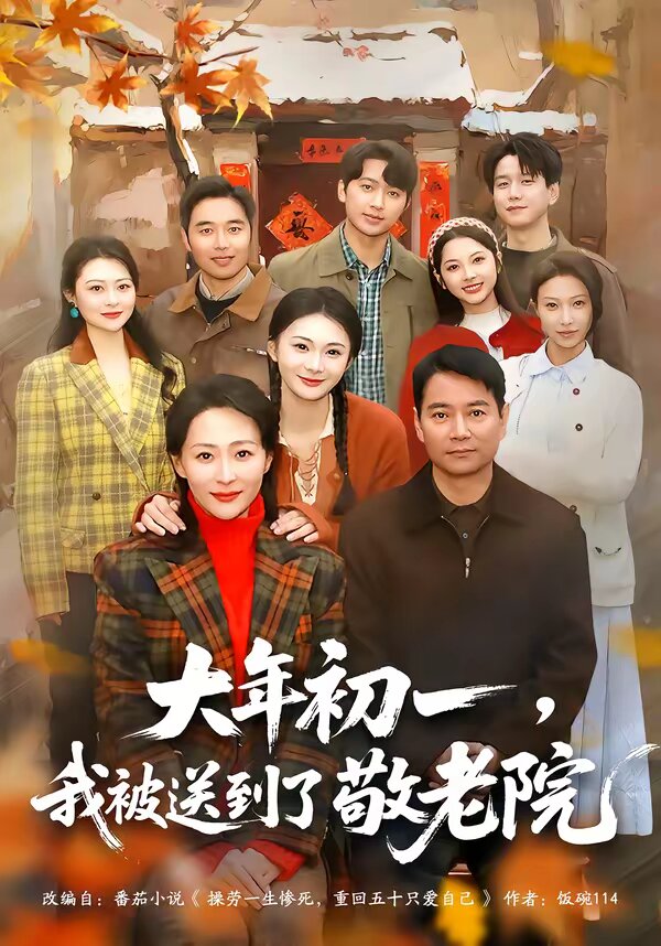 大年初一，我被送到了敬老院(全集)