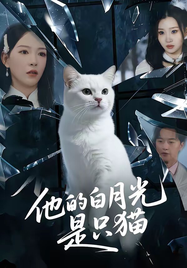 他的白月光是只猫第66集